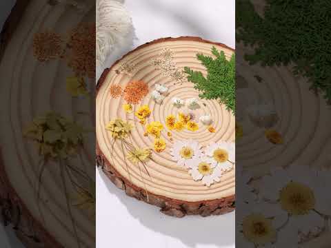 Wireless UV Resin Light