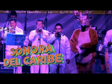 Sonora Del Caribe - Concierto Pura Feria