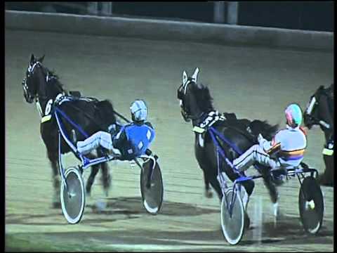 Trotto 27/12/2015 - 8° corsa