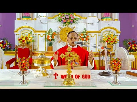 05.11.2021 First Friday Eucharistic Celebration | Fr. Thomas | Sacred Heart Shrine Egmore