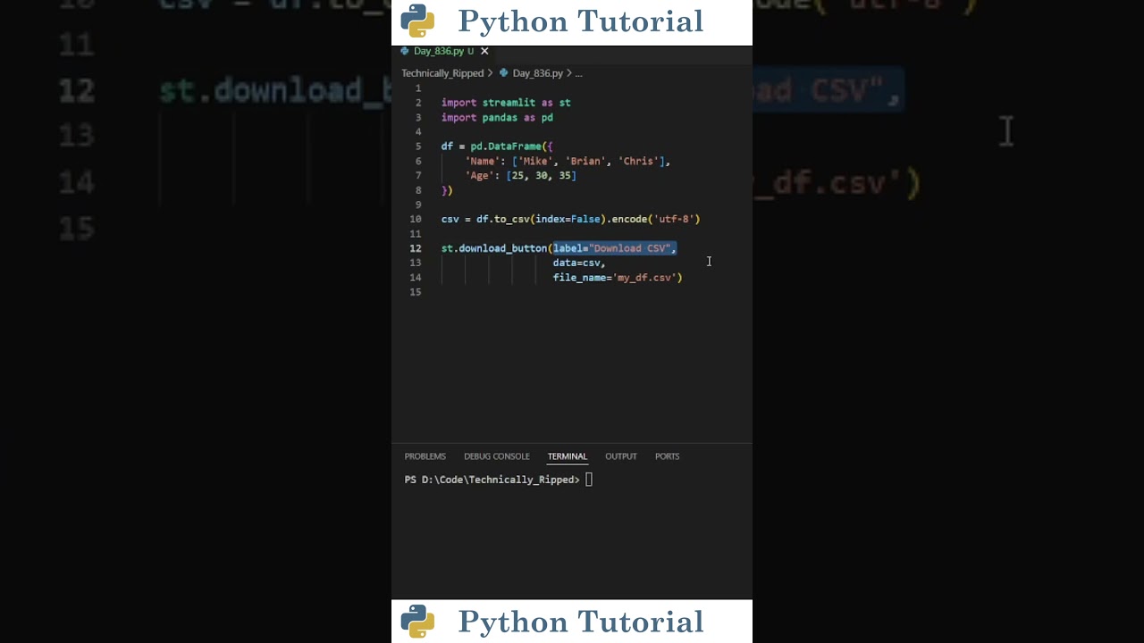 Adding File Downloads to Your Streamlit Web App | Python Tutorial