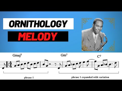 Ornithology Melody Lesson - Patreon Preview