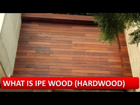 WHAT IS IPE WOOD (HARDWOOD,BRAZILIAN WOOD),IPE लकड़ी क्या है Video