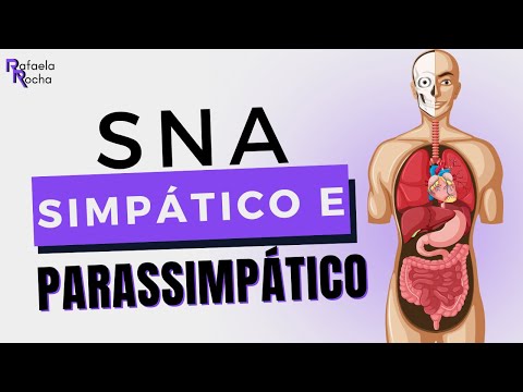 Anatomia e funções do sistema nervoso autônomo SIMPÁTICO E PARASSIMPÁTICO