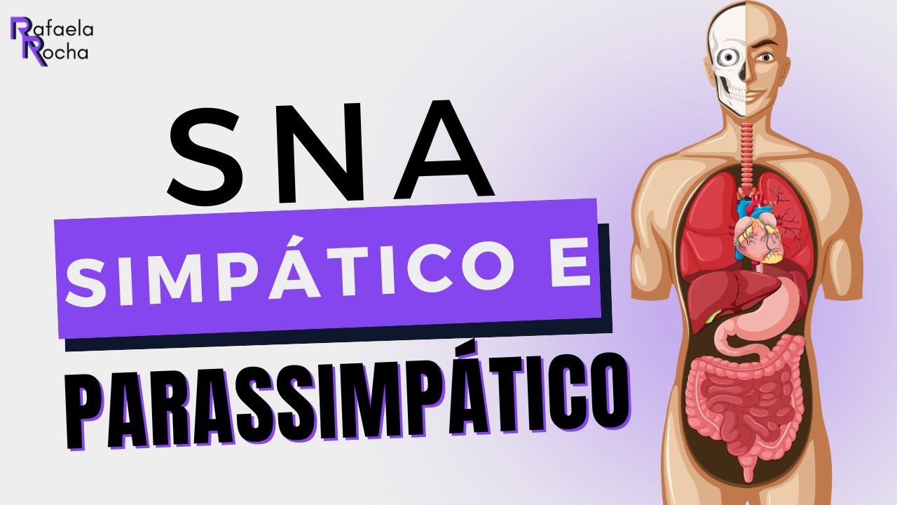 Anatomia e funções do sistema nervoso autônomo SIMPÁTICO E PARASSIMPÁTICO