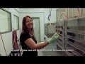 What Can Monkeys Teach Us About Ourselves ORBITER Interview With Dr Sarah Brosnan