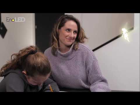 שואוריל פרסומות