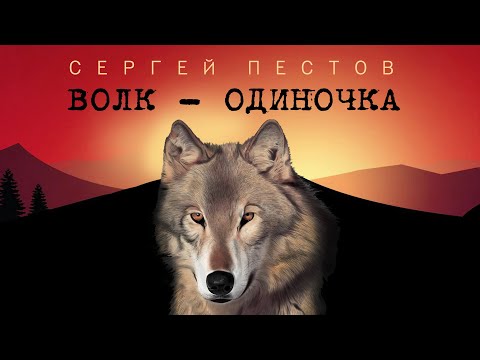 КЛИП 2023 Волк-одиночка. Сергей Пестов.