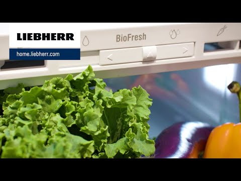 Laisvai pastatomas šaldytuvas su „BioFresh“ LIEBHERR RBe 5220 Plus BioFresh video
