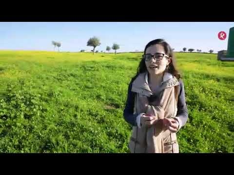 Una ganadera hecha a si misma - Canal Extremadura