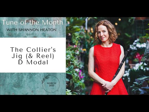 The Collier's [Jig & Reel] - Tune of the Month with Shannon Heaton