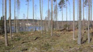 preview picture of video 'Kalhygge Storfors Vargskogen 05 -Panorama övre del av hygget och mot Forsbron.AVI'