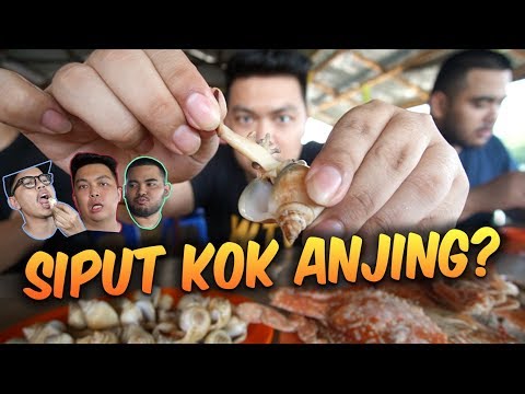 makan-siput-langka-di-dunia-mabar-makan-barbar-bangpen