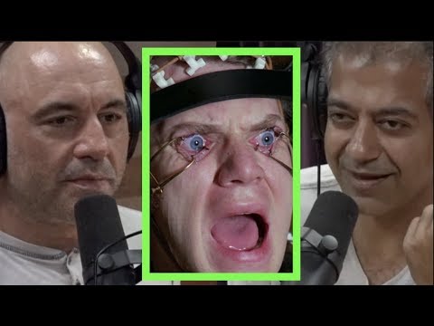Joe Rogan | Modern Struggle is Fighting Media Addiction w/Naval Ravikat