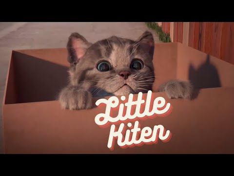 Little Kitten Preschool-Play Fun Pet Kitten Care Kids Game...