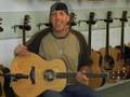 Acoustic guitar purchasing Taylor Martin Larrivee ...