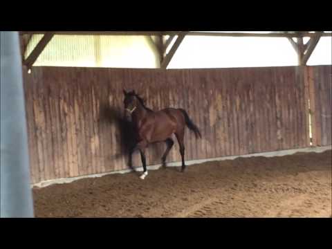 Do it now Marbach 2017