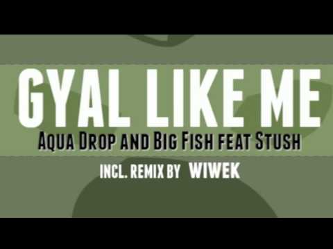 Aquadrop and Big Fish - Gyal Like Me Feat. Stush (Wiwek Remix)