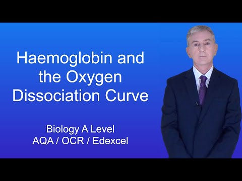 A Level Biology Revision "Haemoglobin and the Oxygen Dissociation Curve"
