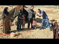 Warm Meeting Of Husband And First Lady With Parents In Law In Sardsir Region Of Nomadic Life