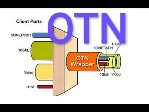 what is the OTN