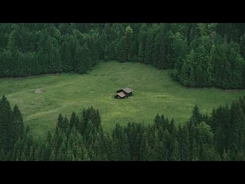 a playlist to escape from reality..