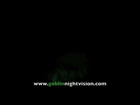 Bison of Badlands, South Dakota as seen with Night Vision.