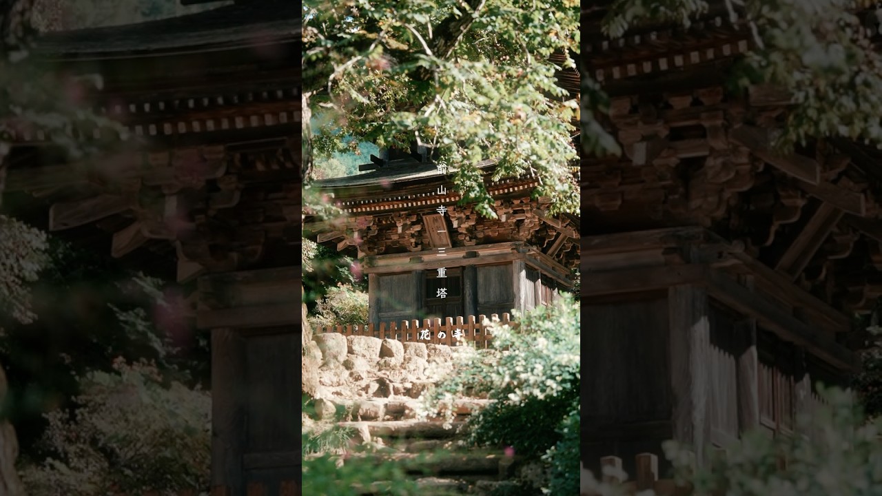 YouTube Short thumbnail