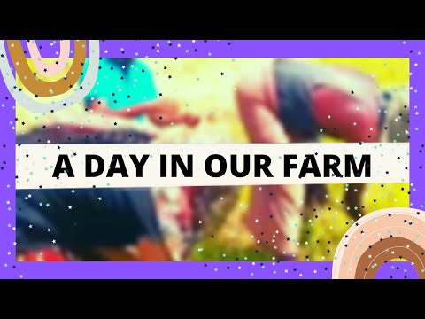 A day to our farm! Viveka Vidula💖💞💖