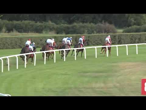 2020.09.20. 09. futam - KISBÉR DÍJ (HUN Gd-2) (NGL-VI.)