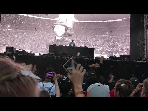 Don Diablo - Never Change (Live at Lollapalooza Berlin 2019)
