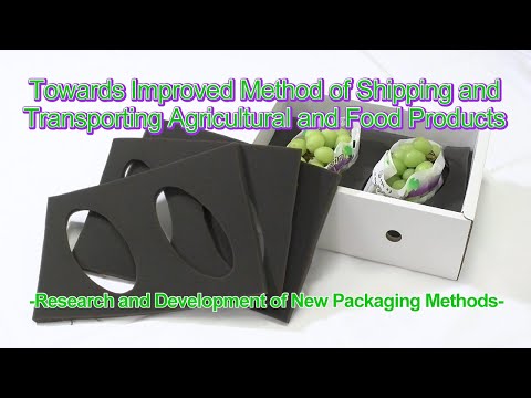 Improved Method of Transporting Agricultural and Food Products - New Packaging for grapes-