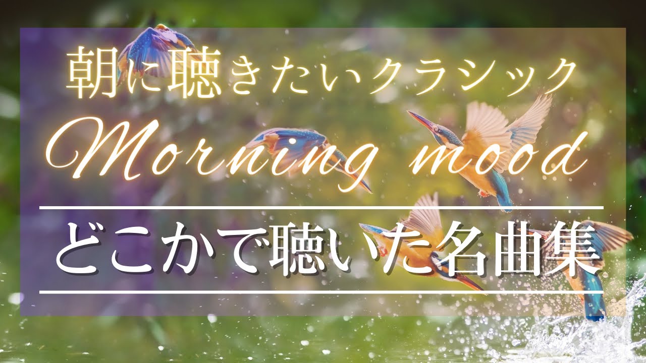 静かな朝に聴きたい名曲クラシック 癒やしのメドレー ピアノ，ヴァイオリン 【BGM Playlist】