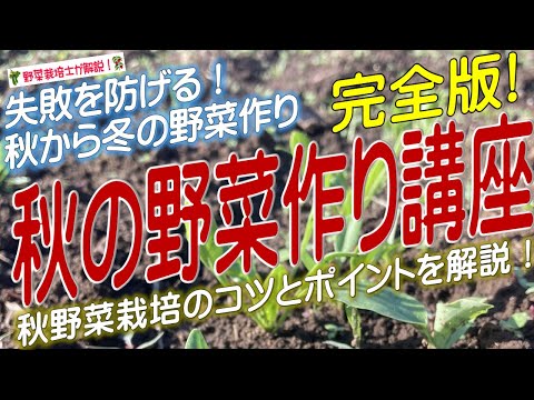 春の息吹を感じる3月に庭で何をしましょうか？ 2月の準備の後、3月に何を植え、種をまき、収穫するでしょうか？  庭園