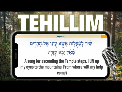 Full Book of Tehillim (Psalms) Read-Along with New English Translation