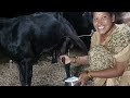Viral Milk Making ️