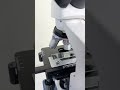 What does snow look like under the microscope? #shortvideo #shorts