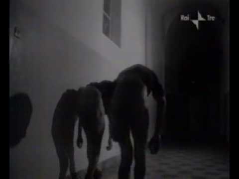 Antonio Rezza - La Divina Provvidenza 1/3