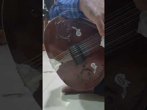 ustad vilayat khan style sitar made by Naeemsitarmaker #sitar #sitarist