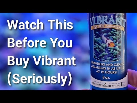 An 8-Minute Summary of The 'Vibrant' Aquarium Scandal