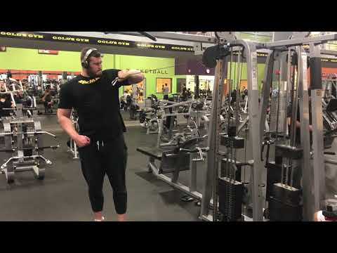 David the Goliath biceps