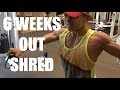 SHRED! 6 WEEKS OUT || (100K FOLLOWERS ON IG?!)