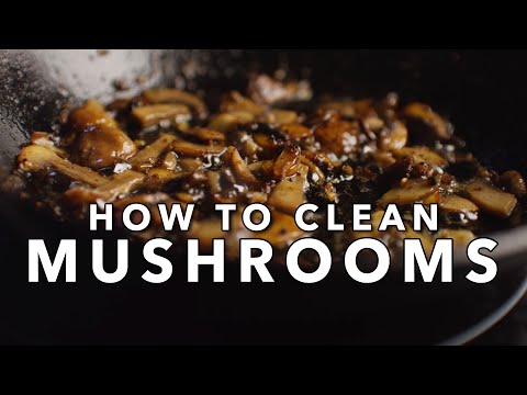 How to Clean & Prep Mushrooms | Chef Tom’s Pro Tips