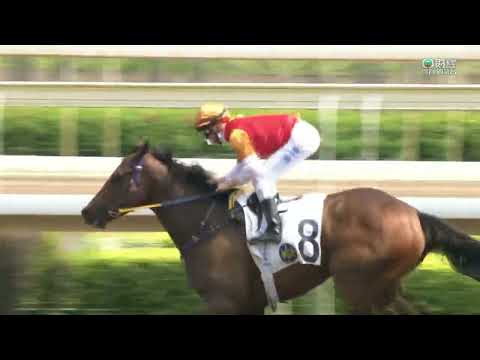 2022/23 (075) - Fiery Diamond (火鑽) - 潘頓