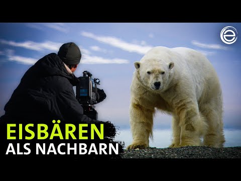 Unter Eisbären ‒ Abenteuer in Russlands Arktis (Making-of) | Erlebnis Erde