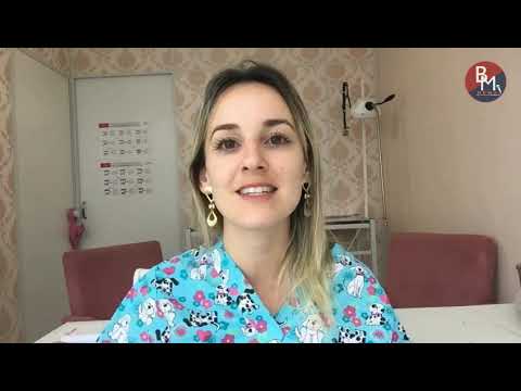 Dicas pet: Antenção com o verme do coração em seus cães