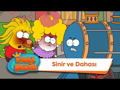 Sinir ve Dahası - Kral Şakir