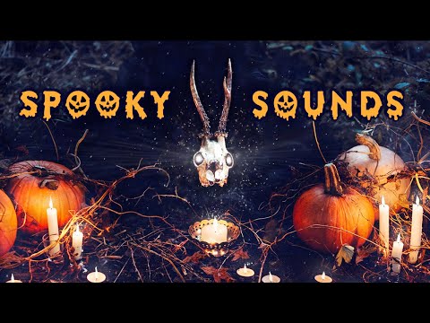 SPOOKY Halloween Ambience: scary halloween background sounds for trick or treat, reading, party