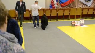 , видео 07.06.2015