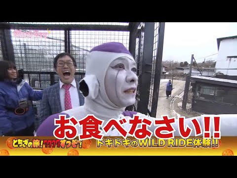 まろに☆え～るTV～とちぎの旅！ワクワクすっぞ！～ ＃８　ナッパ再び！温泉付き！道の駅きつれがわ